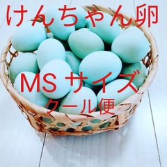 ☆★クール便★☆　けんちゃん卵MS 30個 平飼い　朝採れ　あすなろ卵鶏　たまご　玉子　青い卵　特殊卵