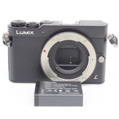 ≪極上品≫ Panasonic GM5 ボディ DMC-GM5-K #20250510-1736