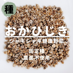 【種】おかひじき　農薬不使用　100粒