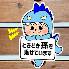 ときどき孫を乗せています