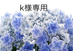 ☆〜天然石 ティファニーブルー アマゾナイト 紫陽花 帯留め 40×30