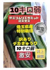 割引クーポンで100円引き！10キロ弱！リピーター続出！デカきゅうり！　野菜ソムリエサミット銀賞受賞　農家直送　減農薬　有機肥料　ちょいデカきゅうり　訳あり 10kg