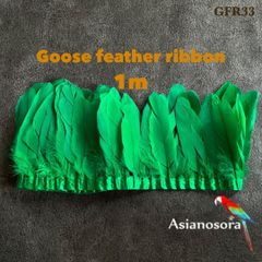 ◼️⭐︎【GFR33緑 】1m 羽根 フェザー テープ リボン  装飾 鳥の羽 バレエ