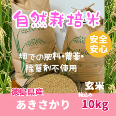 自然栽培米★畑での肥料・農薬・除草剤不使用★徳島県産あきさかり  玄米　箱込み 10kg