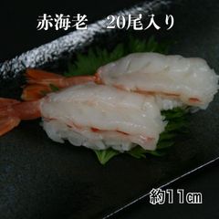 赤海老 20尾 寿司ネタ  お造り赤エビ開き(約11ｃｍ) すしねた のせるだけ 生食用 あかえび アカエビ 刺身用 海鮮丼 大ネタ 手巻き寿司