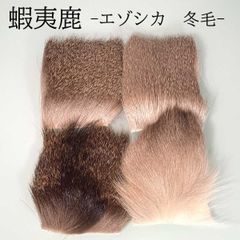 Item thumbnail for item 1033dc9d-8d1a-437b-a293-80c4d470f681