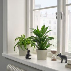 KÖRSBÄRSBJÖRK コルスベルシュビョルク 鉢カバー, ライトグレーベージュ IKEA