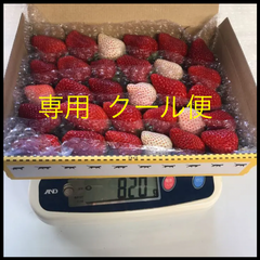 いちご 赤白、ピンク苺白苺、クール便