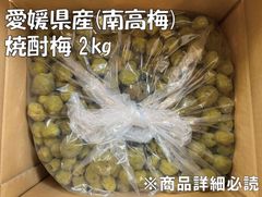 0302❄️東北発送クール便「冷凍南高梅」2L5kg 梅酒 シロップ(梅干しOK
