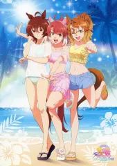 【中古】雑貨 ダンツフレーム＆アグネスタキオン＆ジャングルポケット A4イラストボード 「Blu-ray 劇場版 ウマ娘 プリティーダービー 新時代の扉」 TOHO animation STORE購入特典