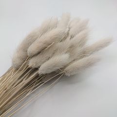 大地農園 ラグラス パールグレー 新品1束