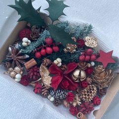 ドライフラワー ドライ ナッツ 木の実 詰め合わせ セットˎˊ˗ クリスマス　クリスマスBOX スギ　ヒイラギ　　No.35