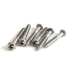 【YJB PARTS】 トレモロマウント用ビス ステンレス 6本入り 【国産品】
