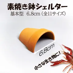 パンテノン神殿　熱帯魚　アクアリウム　シェルター パンテノン神殿 熱帯魚 アクアリウム シェルター｜アクアリウム