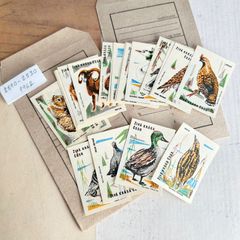264・【再入荷】マッチラベル　動物/野鳥　21柄　1962年頃　　レア　アンティーク　ラベルシート 切手趣味週間　コレクション　海外ヴィンテージ　蚤の市　海外アンティーク　図鑑　コレクション　ラベル　海外紙物　チェコ