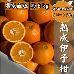 2025年最新】いよかんの人気アイテム - メルカリ