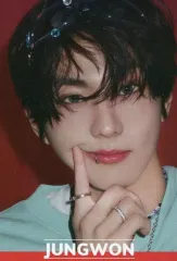 【中古】食玩 ステッカー・シール ジョンウォン(下部ネーム) ノーマルシール 「ENHYPEN ツインウエハース」