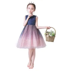 【新品】 [Weileenice] ネイビー 120 子供服 フォーマル ドレス 女の子 結婚式 発表会 七五三 ドレス グラデーション スパンコール フラワーガール パーティー ピンク ドレス 星 膝丈 [並行輸入品]