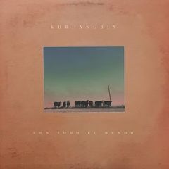 美品 AAAMYYY ANNIHILATION LPアナログレコード AAAMYYY / Annihilation [LP] - メルカリ