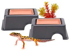 heizi 爬虫類 シェルター ウェットシェルター ケージ 2個セット 飼育ケース 素焼き 保湿
