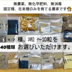 無農薬　無科学肥料　無消毒　種子　苗　種芋