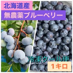 北海道産　農薬不使用　冷凍ブルーベリー　1キロのサムネイル