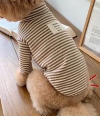 犬の服　ベージュボーダートップス