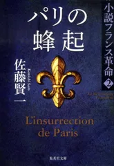 パリの蜂起 小説フランス革命 2