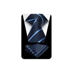 [HISDERN] ビジネス ネクタイ メンズ フォーマル ネクタイ ストライプ ポケットチーフ セット ブランド品 高級 成人式 父の日 HTS0868V28S