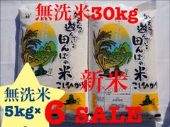 新米　コシヒカリ　千葉県産　無洗米　30kg （5kg×6）30キロ