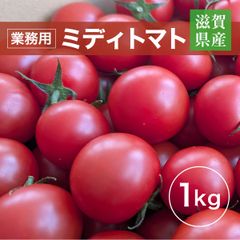 トマト 業務用 中玉トマト ミディトマト 1㎏ 滋賀県  10月～7月の販売