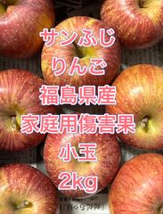 サンふじ　りんご　福島県産　家庭用傷害果　小玉　2kg