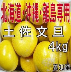 【家庭用】土佐文旦４ｋｇ