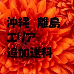 沖縄　離島　エリア　追加送料