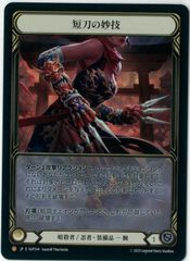 Rainbow Foil/Flesh and Blood/日本語版/戦争屋の外交術