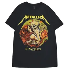 ２００６年サマーソニック ピック メタリカ ジェイムズ ヘットフィールド METALLICA ジェームズ・ヘットフィールド ピック - メルカリ
