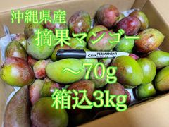 沖縄県産　摘果マンゴー　70g以下　箱込３kg