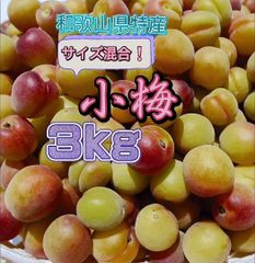 小梅 3kg 家庭用 和歌山県産