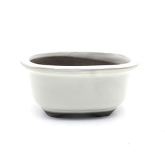 【未使用】盆栽鉢 4号 小判エン付鉢 白色 クリーム釉 瀬戸焼 陶器 深め 山野草 雑木 松柏 小品 小さい 約14センチ 植木鉢 苔 うめきち盆栽用品店