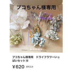 プコちゃん様専用　ドライフラワー⑩
