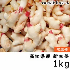 めっちゃ安い！！　新生姜　高知県　4キロ　箱込　212 pd_2c2dae0273cdce71d4a3fadce94
