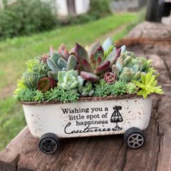 オーダー承ります 多肉植物寄せ植えそのまま飾れるちま寄せ花車