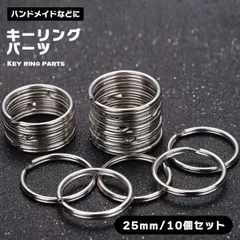 【ハンドメイドの必需品】キーリング パーツ 10個セット 25mm 二重リング シルバー ダブルリング キーホルダー金具 アクセサリーパーツ 手芸用品 DIY _a