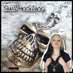 パンク BIGサイズドクロ＆ミニドクロひび割れVer. チェーンネックレス メンズ レディース スカル 男女兼用 /rfo105