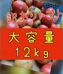 2024年最新】八代産トマトの人気アイテム - メルカリ