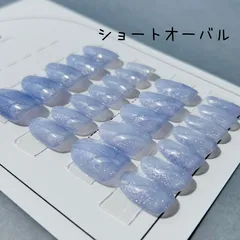 #3 12サイズ24枚 マグネットネイルチップ チップ形状3種 ブルーベリー 付属品あり フルサイズ