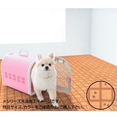 Item thumbnail for item 5b236d94-1d03-453b-bb1b-8377b3509c20