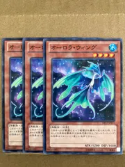 オーロラウィング　ノーパラ