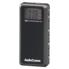 ライターサイズラジオ(本体30g/AM、FMステレオ、ワイドFM/イヤホン専用/単4形×2本使用) (RAD-P255N)