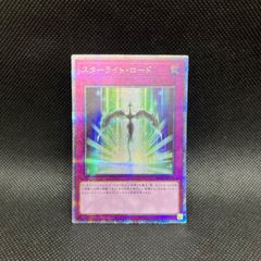 ライゼオル　デッキパーツ 遊戯王 ライゼオル デッキパーツ 24枚セット - メルカリ